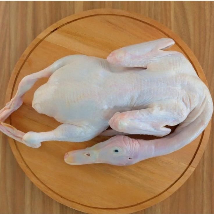 Panen ternak dan ikan