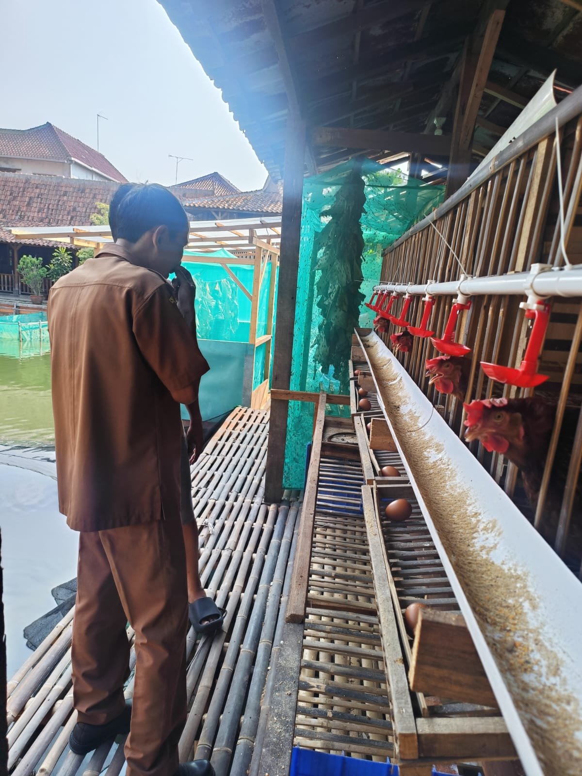 Kegiatan budidaya