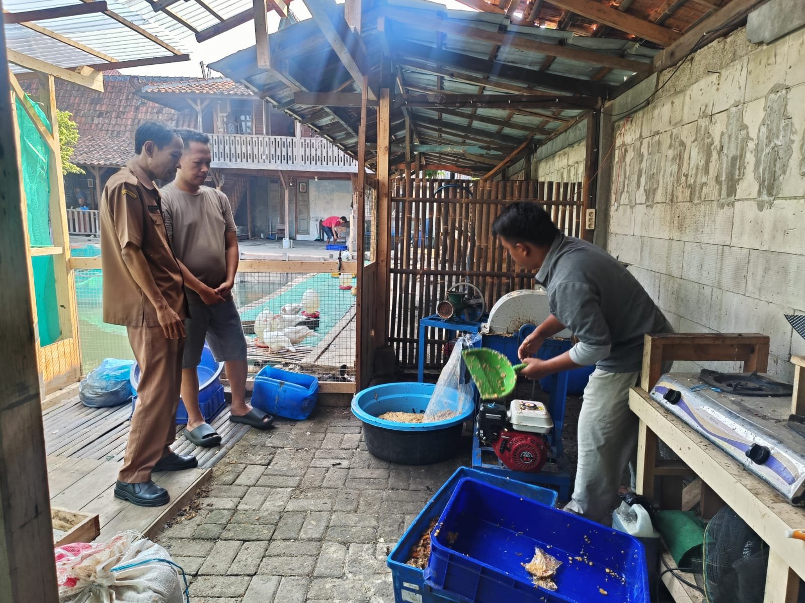 Pengolahan sampah organik menjadi bahan pakan di lokasi B7 Walangi Purwakarta