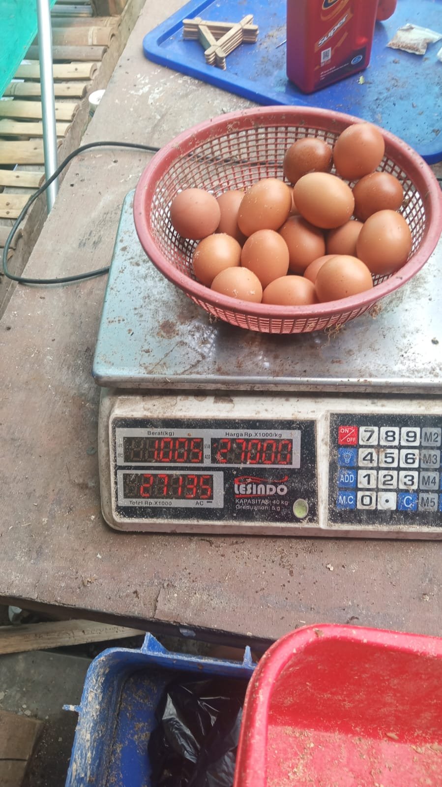 Hasil peternakan organik B7 Walangi saat ditimbang