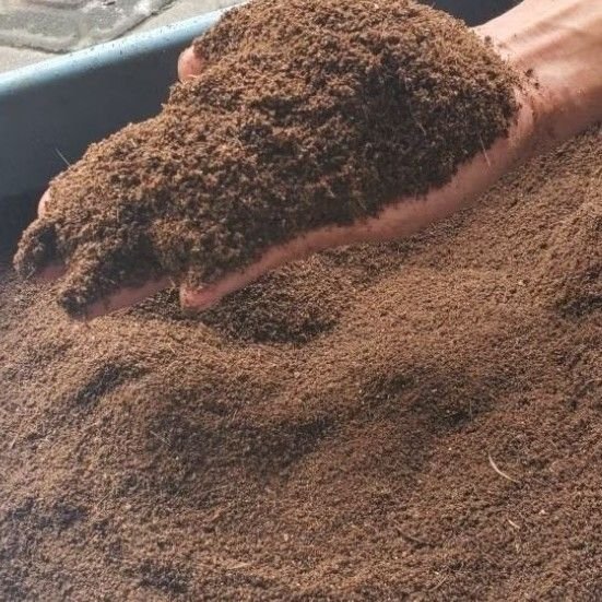 Kasgot bekas maggot — pupuk organik B7 Walangi